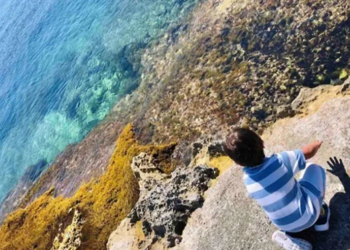 Pensiune Stylish In Exiles 4*