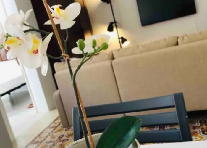 Stylish In Exiles 4*